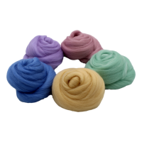 Filzwolle Kammzug Pastell - 5 x 20g Merino Farbmix 100g